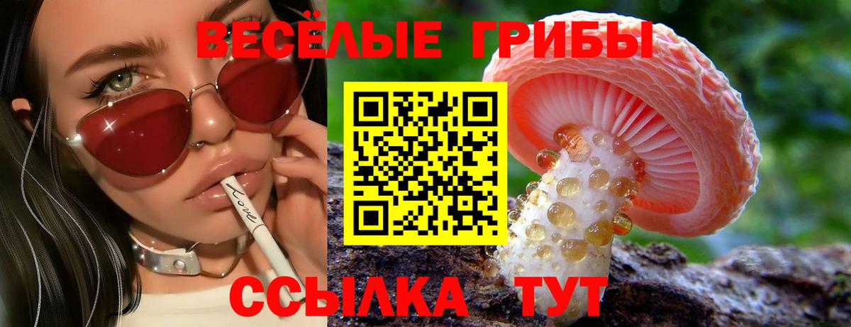 Курск  Галлюциногенные грибы мухоморы  Вход с VPN  Галлюциногенные грибы GOLDEN TEACHER 